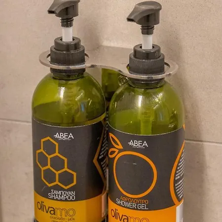 阿尔蒂娜诺沃酒店 酒店 马拉松波利斯