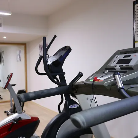 阿尔蒂娜诺沃酒店 2*